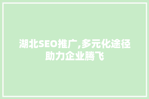 湖北SEO推广,多元化途径助力企业腾飞