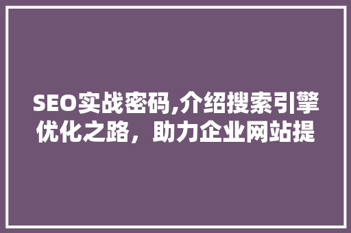 SEO实战密码,介绍搜索引擎优化之路，助力企业网站提升排名