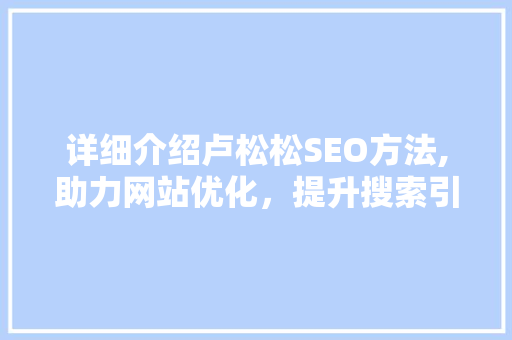 详细介绍卢松松SEO方法,助力网站优化，提升搜索引擎排名