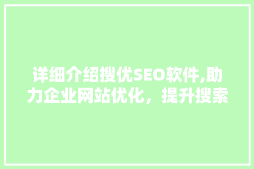 详细介绍搜优SEO软件,助力企业网站优化，提升搜索引擎排名