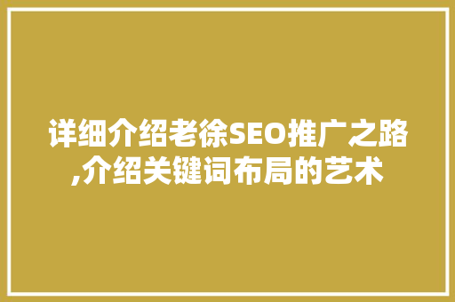 详细介绍老徐SEO推广之路,介绍关键词布局的艺术