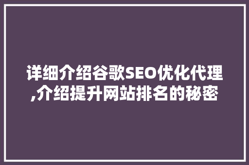详细介绍谷歌SEO优化代理,介绍提升网站排名的秘密武器