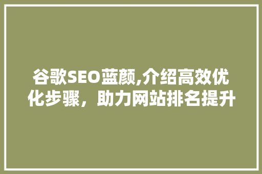 谷歌SEO蓝颜,介绍高效优化步骤，助力网站排名提升