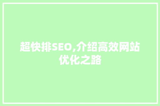 超快排SEO,介绍高效网站优化之路