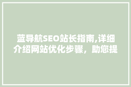 蓝导航SEO站长指南,详细介绍网站优化步骤，助您提升网站排名