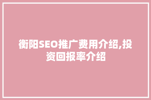 衡阳SEO推广费用介绍,投资回报率介绍