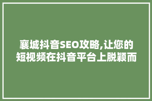 襄城抖音SEO攻略,让您的短视频在抖音平台上脱颖而出