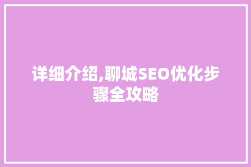 详细介绍,聊城SEO优化步骤全攻略