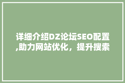 详细介绍DZ论坛SEO配置,助力网站优化，提升搜索引擎排名