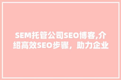 SEM托管公司SEO博客,介绍高效SEO步骤，助力企业在线崛起