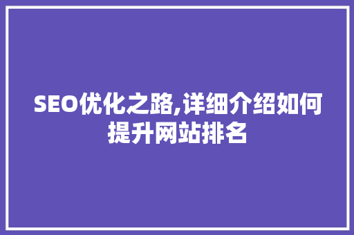 SEO优化之路,详细介绍如何提升网站排名