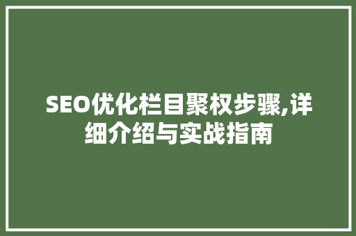 SEO优化栏目聚权步骤,详细介绍与实战指南