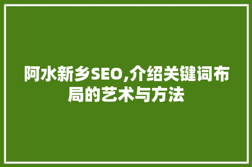 阿水新乡SEO,介绍关键词布局的艺术与方法