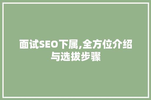 面试SEO下属,全方位介绍与选拔步骤
