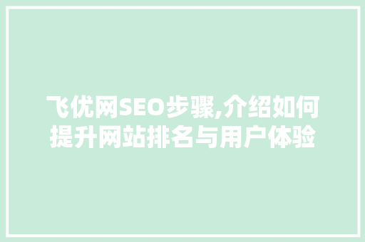 飞优网SEO步骤,介绍如何提升网站排名与用户体验