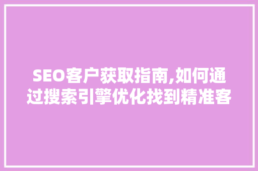 SEO客户获取指南,如何通过搜索引擎优化找到精准客户
