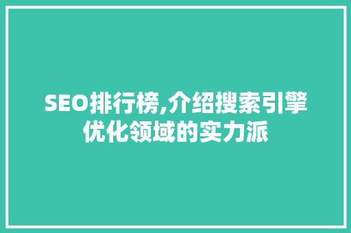 SEO排行榜,介绍搜索引擎优化领域的实力派