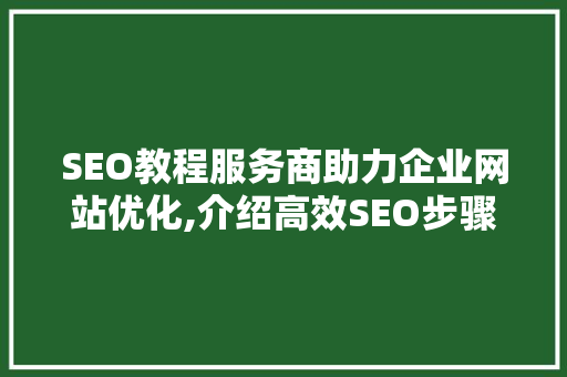 SEO教程服务商助力企业网站优化,介绍高效SEO步骤