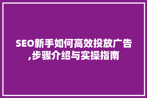 SEO新手如何高效投放广告,步骤介绍与实操指南
