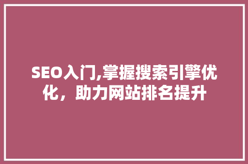 SEO入门,掌握搜索引擎优化，助力网站排名提升