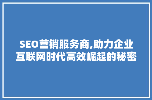 SEO营销服务商,助力企业互联网时代高效崛起的秘密武器