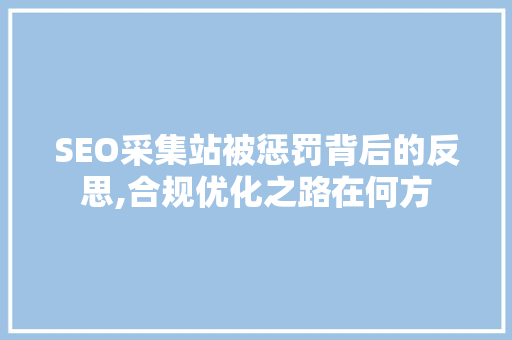 SEO采集站被惩罚背后的反思,合规优化之路在何方