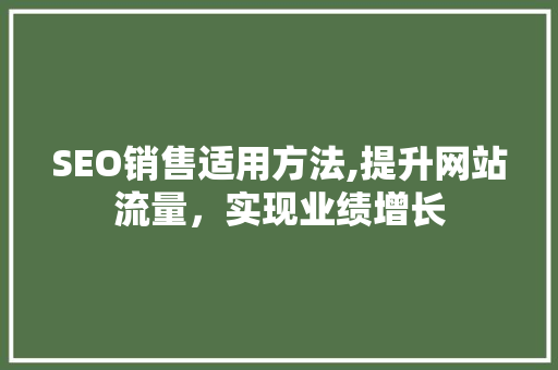 SEO销售适用方法,提升网站流量，实现业绩增长  第1张