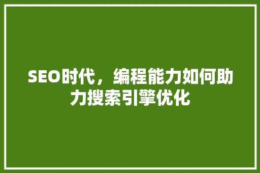 SEO时代，编程能力如何助力搜索引擎优化
