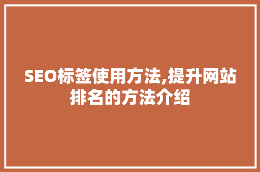 SEO标签使用方法,提升网站排名的方法介绍