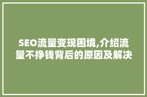 SEO流量变现困境,介绍流量不挣钱背后的原因及解决方法