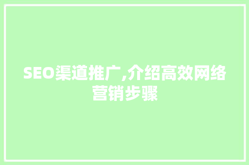 SEO渠道推广,介绍高效网络营销步骤