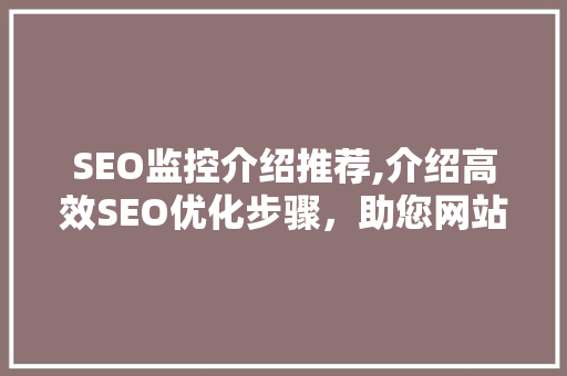 SEO监控介绍推荐,介绍高效SEO优化步骤，助您网站快速提升排名