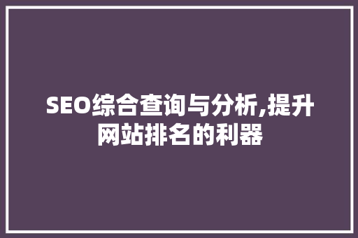 SEO综合查询与分析,提升网站排名的利器