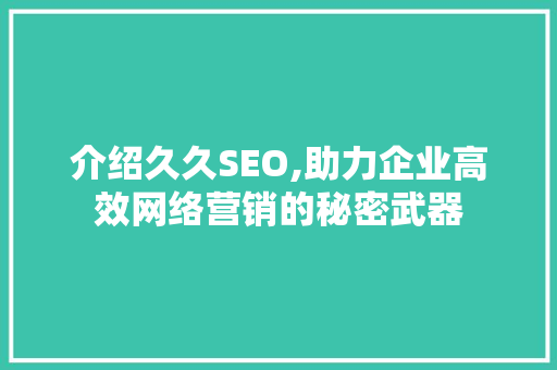 介绍久久SEO,助力企业高效网络营销的秘密武器