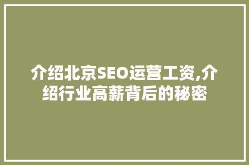 介绍北京SEO运营工资,介绍行业高薪背后的秘密