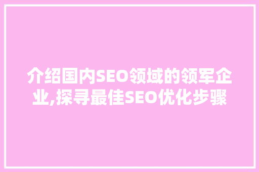 介绍国内SEO领域的领军企业,探寻最佳SEO优化步骤的方法