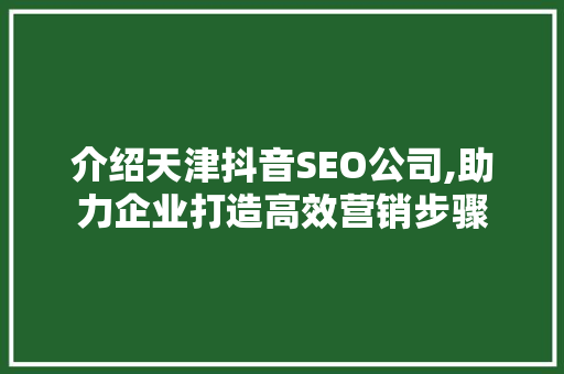 介绍天津抖音SEO公司,助力企业打造高效营销步骤