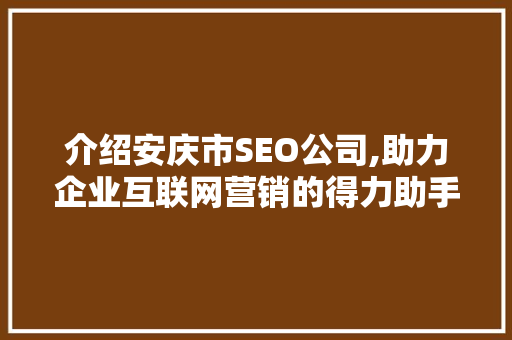 介绍安庆市SEO公司,助力企业互联网营销的得力助手