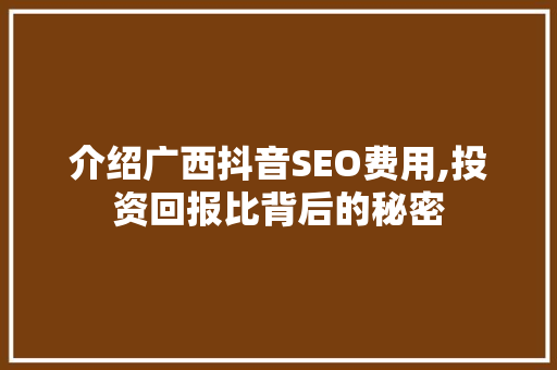 介绍广西抖音SEO费用,投资回报比背后的秘密