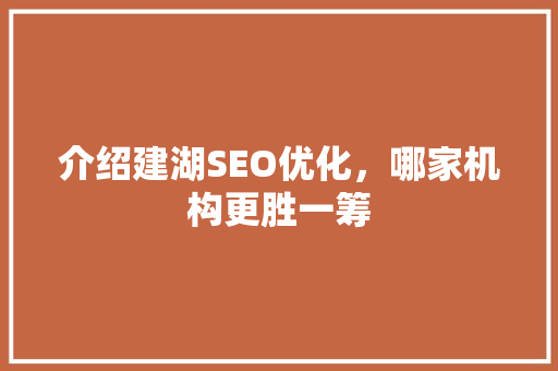 介绍建湖SEO优化，哪家机构更胜一筹