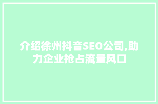 介绍徐州抖音SEO公司,助力企业抢占流量风口