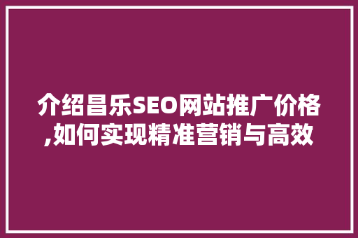 介绍昌乐SEO网站推广价格,如何实现精准营销与高效转化