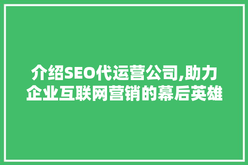 介绍SEO代运营公司,助力企业互联网营销的幕后英雄
