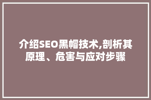 介绍SEO黑帽技术,剖析其原理、危害与应对步骤