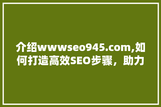 介绍wwwseo945.com,如何打造高效SEO步骤，助力企业腾飞