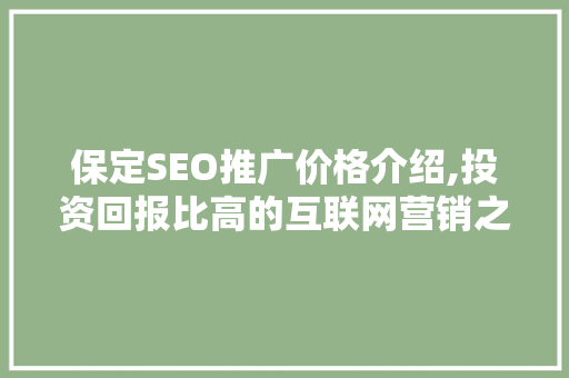 保定SEO推广价格介绍,投资回报比高的互联网营销之路