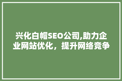 兴化白帽SEO公司,助力企业网站优化，提升网络竞争力