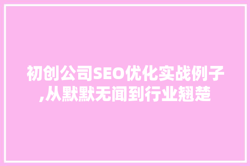初创公司SEO优化实战例子,从默默无闻到行业翘楚