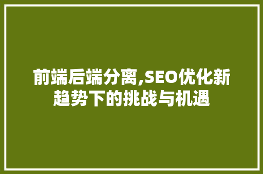 前端后端分离,SEO优化新趋势下的挑战与机遇