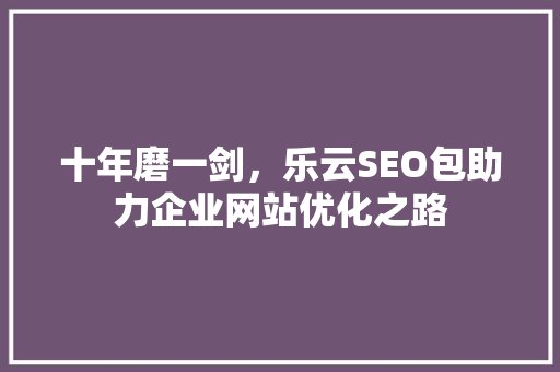 十年磨一剑，乐云SEO包助力企业网站优化之路